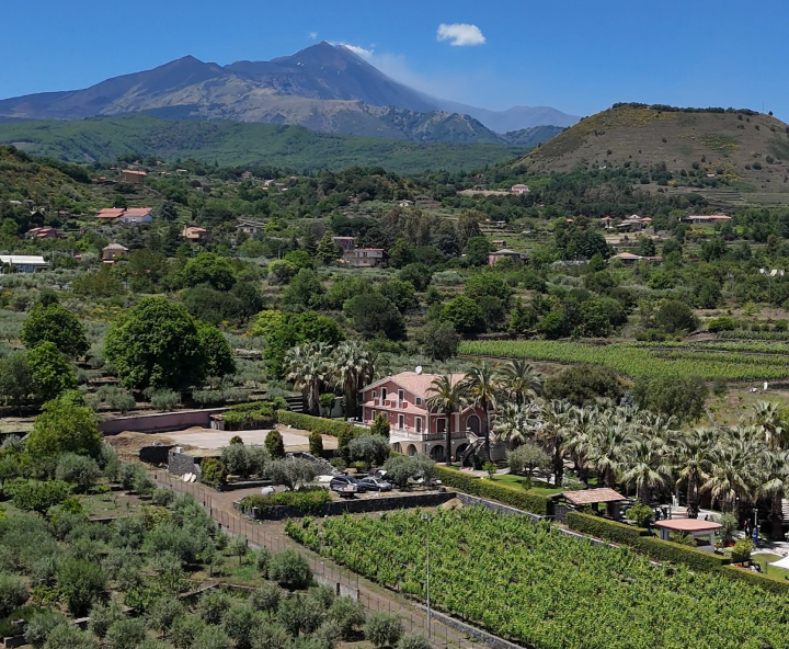 foto dall'alto intera villa